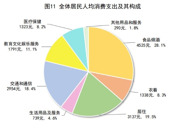 图片11 图片11