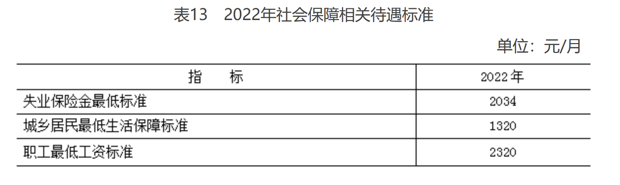 表13 2022年社会保障相关待遇标准 表13 2022年社会保障相关待遇标准